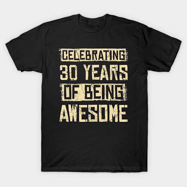 Celebrating 30 Years Awesome T-Shirt by Cooldruck